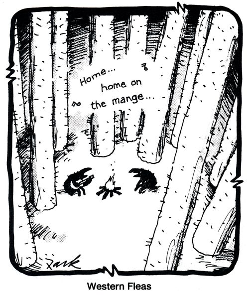 Western Fleas.