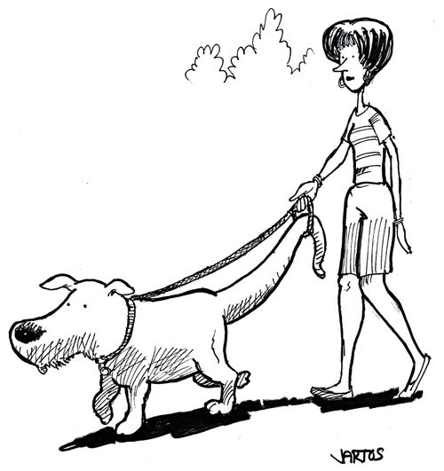 Lady walking a dog with a big tail.