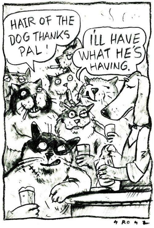 Cats in a bar asking for 'hair of the dog'.