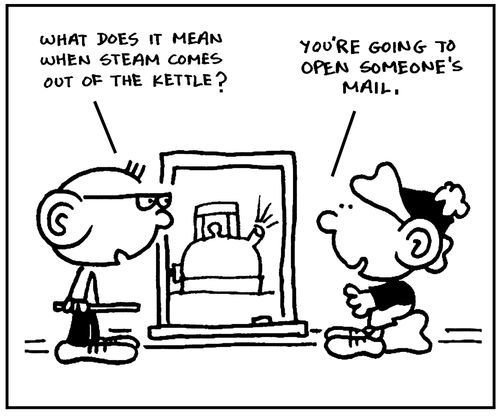 'What does it mean when steam comes out of a kettle?'
