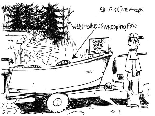 Check your boat: 'Weemollususwhoppingfine.'