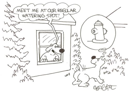 'Meet me at our regular watering hole.' 