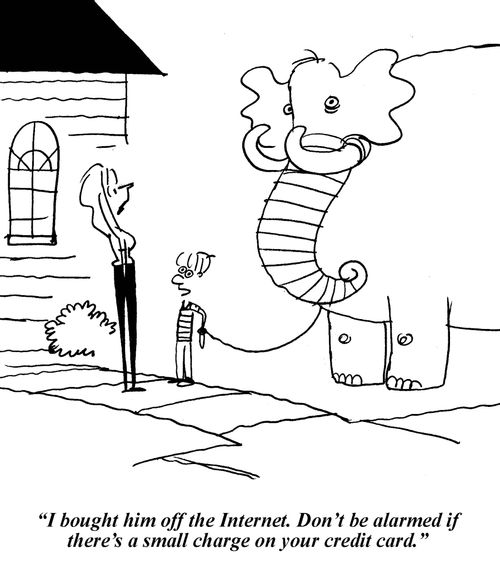 'I bought him off the Internet. Don't be alarmed if there's a small charge on your credit card.'
