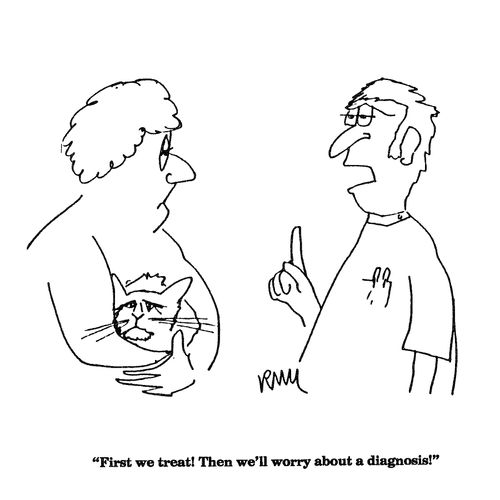 'First we treat!  Then we'll worry about a diagnosis!'