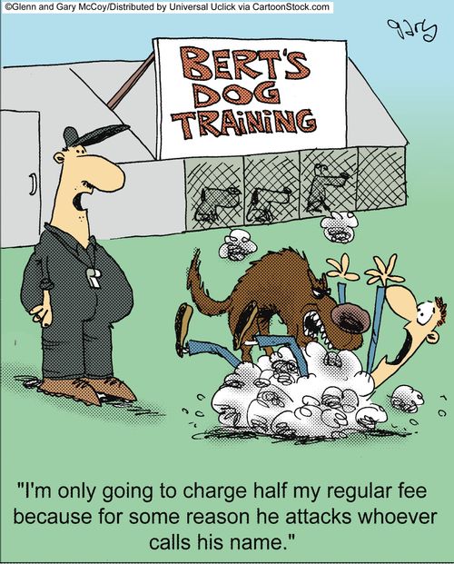 'Bert's dog training.'