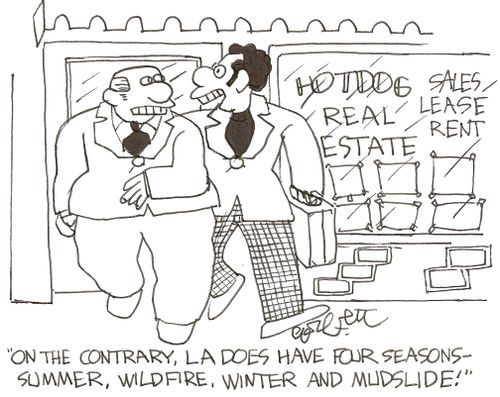 Real estate company: 'On the contrary, LA does have four seasons - summer, wildfire, winter and mudslide!'