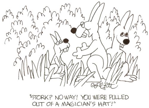 'Stork?  No way!  You were pulled out of a magician's hat!'