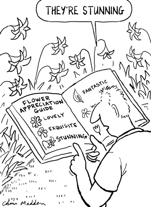 Flower appreciation guide book