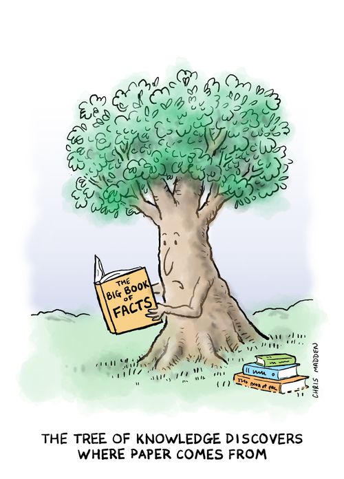 The tree of knowledge discovers that paper is made from wood.
