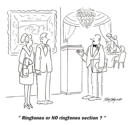 'Ringtone or No ringtones section?'