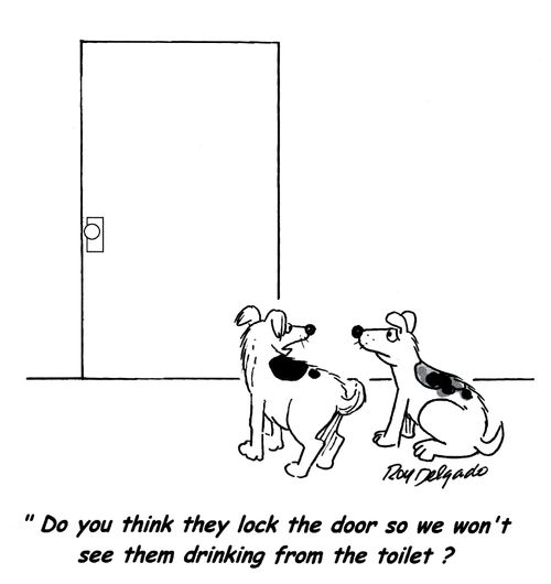 'Do you think they lock the door so we won't see them drinking from the toilet?'