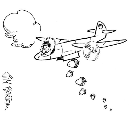 Nut Bomber
