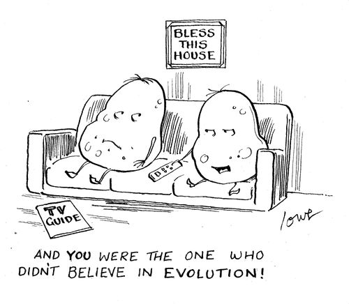 'And you were the one who didn't believe in evolution!'