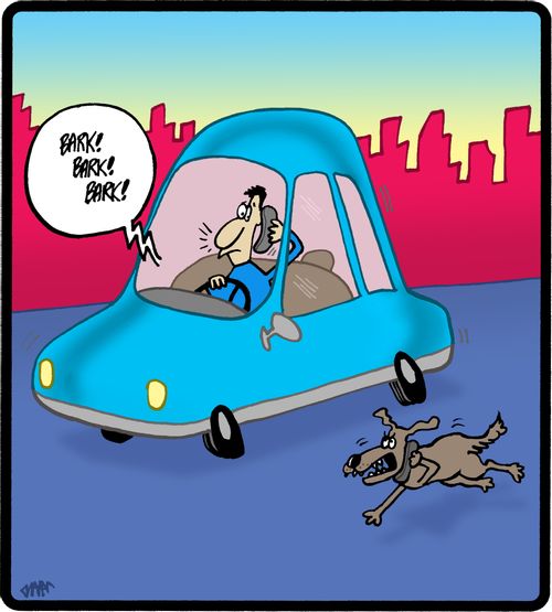 Cellphone dog.