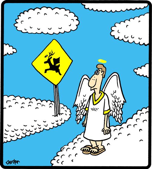 Angel Deer Crossing.