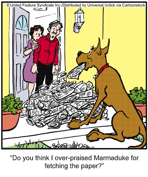 'Do you think I over-praised Marmaduke for fetching the paper?'