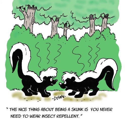 'The nice thing about being a skunk is you never need to wear insect repellent.'