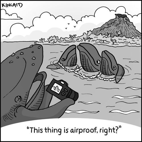 'This thing is airproof, right?'