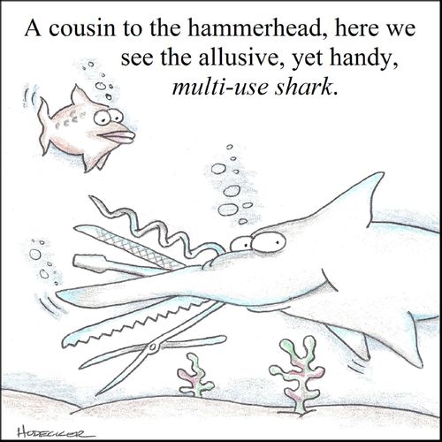 'A cousin to the hammerhead, here we see the allusive, yet, handy, multi-use shark.'