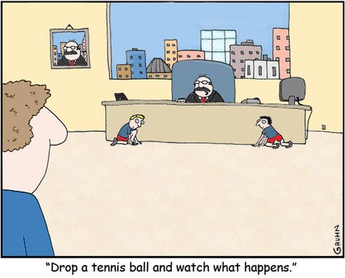 'Drop a tennis ball and watch what happens.'