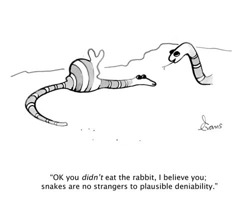 'OK you didn't eat the rabbit, I believe you; snakes are no strangers to plausible deniability.'