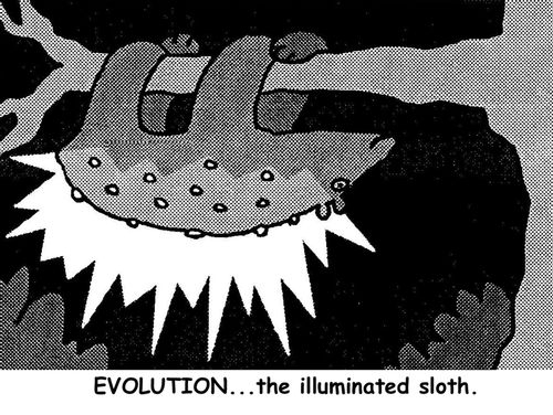 Evolution...the illuminated sloth.