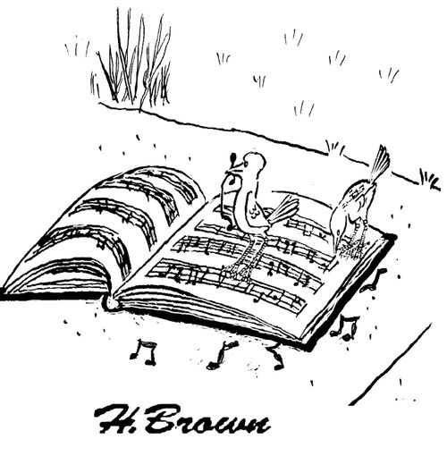 Bird Score
