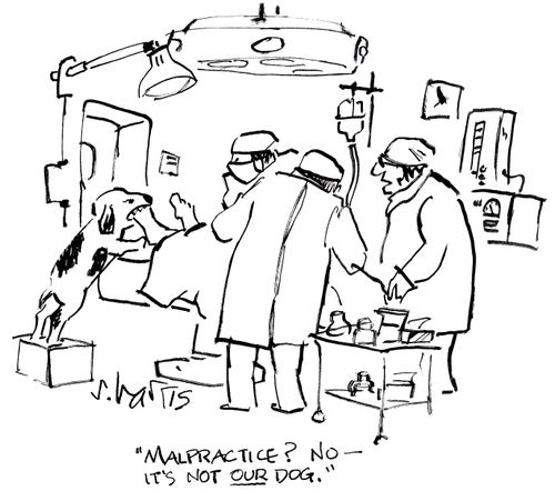 'Malpractice? No - it's not our dog.'