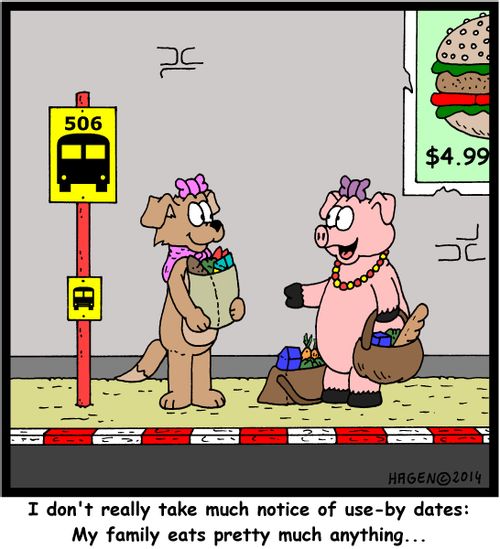 'I don't really take much notice of use-by dates: My family eats pretty much anything...'