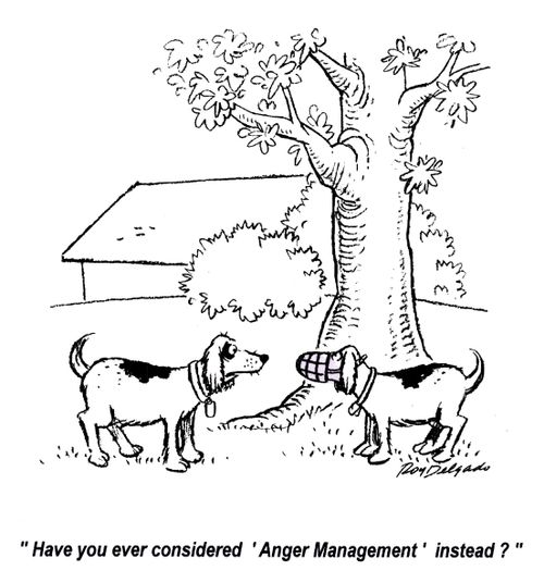 'Have you ever considered 'Anger Management' instead?'