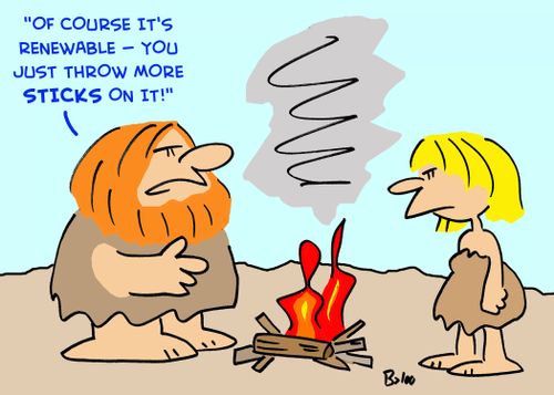 'Of course it's renewable -- you just throw more sticks on it!'