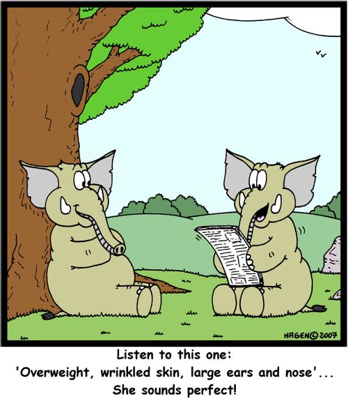 'Listen to this one: 'Overweight, wrinkled skin, large ears and nose'... She sounds perfect!'