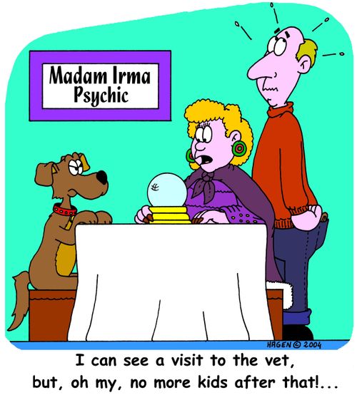 'I can see a visit to the vet, but, oh my, no more kids after that!...'