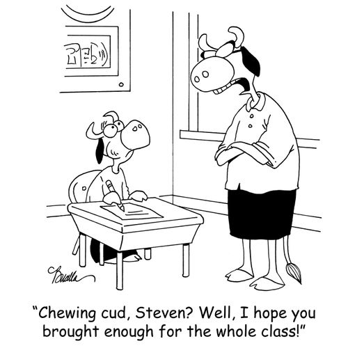 'Chewing cud, Steven? Well, I hope you brought enough for the whole class!'