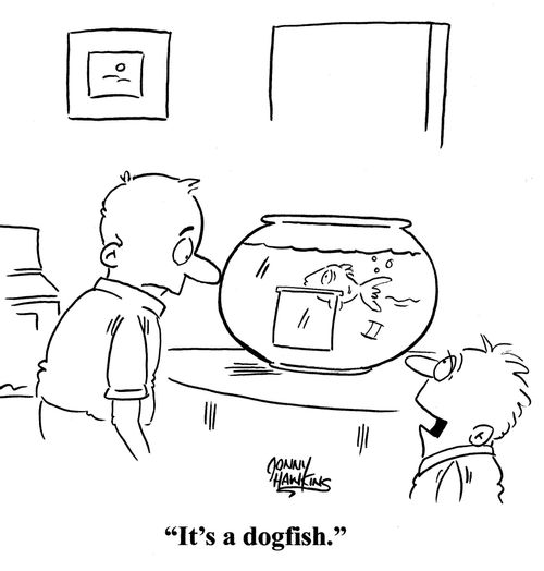 Kid to dad about pet door on fishbowl: 'It's a dogfish.'
