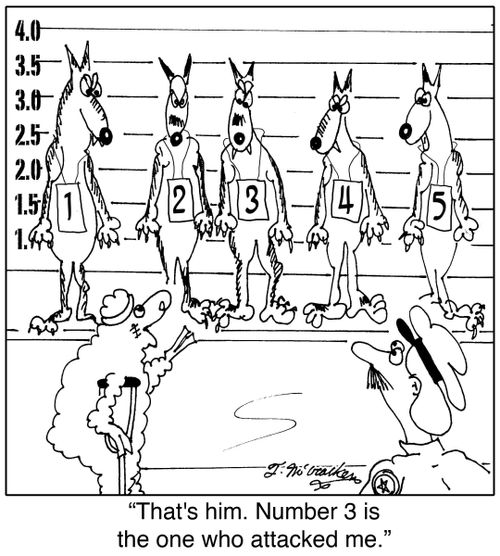 'That's him. Number 3 is the one who attacked me.'