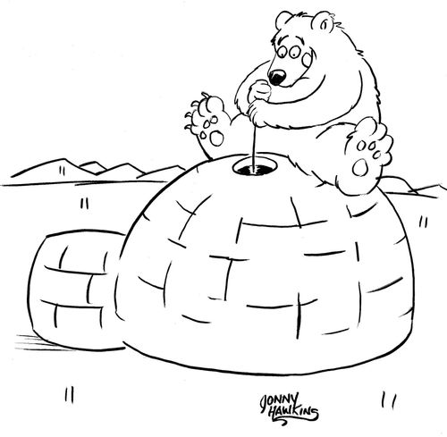 Polar Bear ice fishing through igloo.