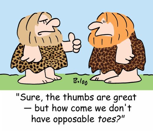 'Sure, the thumbs are great -- but how come we don't have opposable toes?'