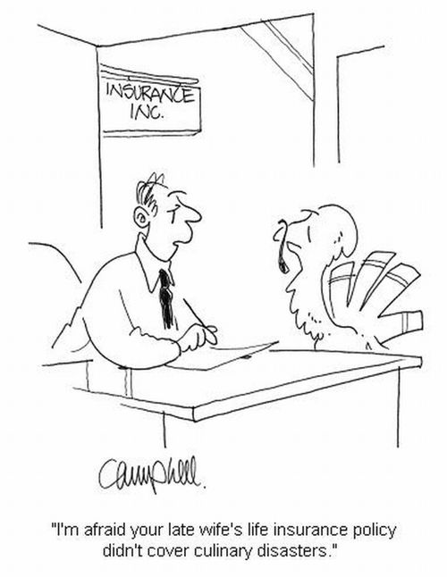 'I'm afraid your late wife's life insurance policy didn't cover culinary disasters.'