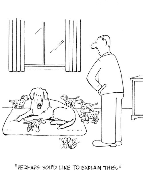 'Perhaps you'd like to explain this,'