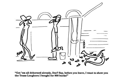 'Get 'em all dehorned already, Doc?