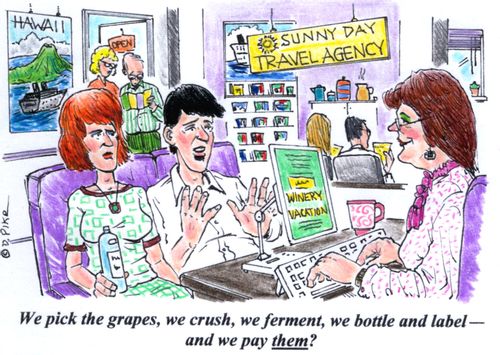 'We pick the grapes, we crush, we ferment, we bottle and label - and we pay them?'