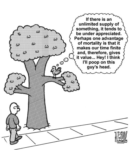 'If there is an unlimited supply of something....mortality is that it make our time finite....I think I'll poop on this guy's head.'
