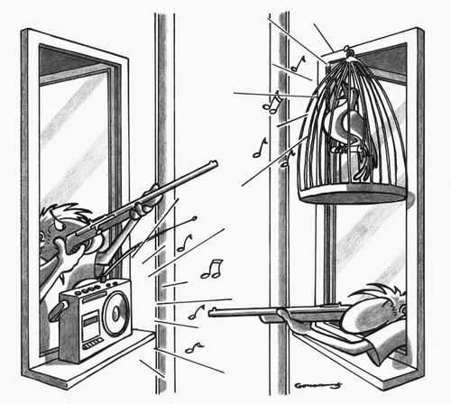 Noise pollution