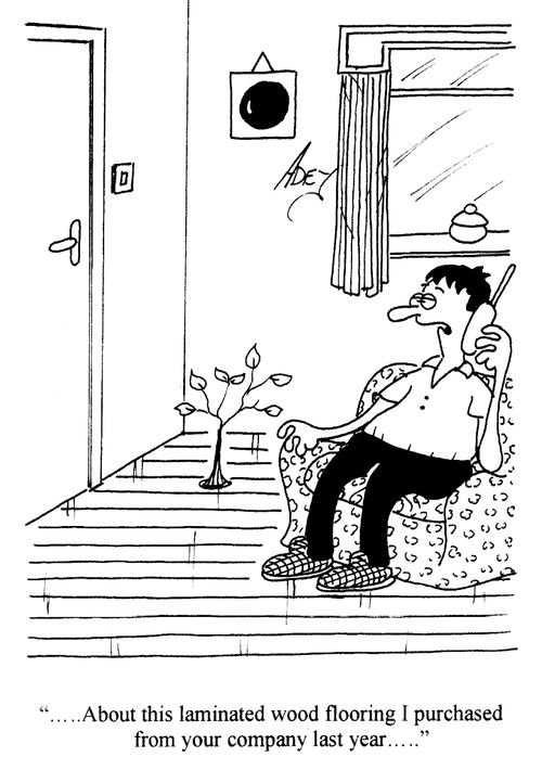 '...About this laminated wood flooring I purchased from your company last year...'