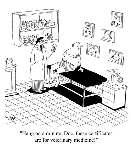 'Hang on a minute, Doc, these certificates are for veterinary medicine!'