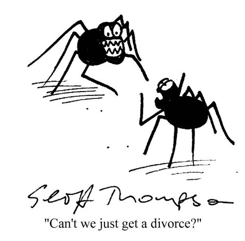 'Can't we just get a divorce?'
