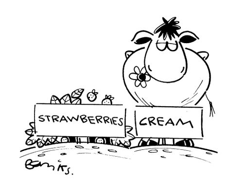 'Strawberries and cream'