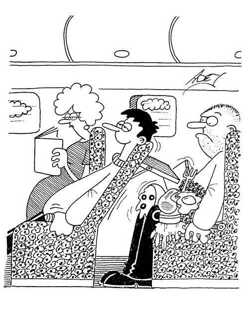 Airplane food