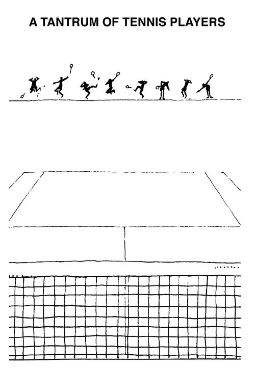 A tantrum of tennis players